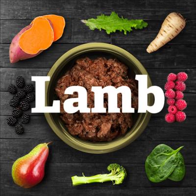 Lamb featured image